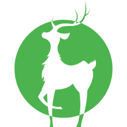 Meiwu Technology Company Limited Ordinary Shares Share Price